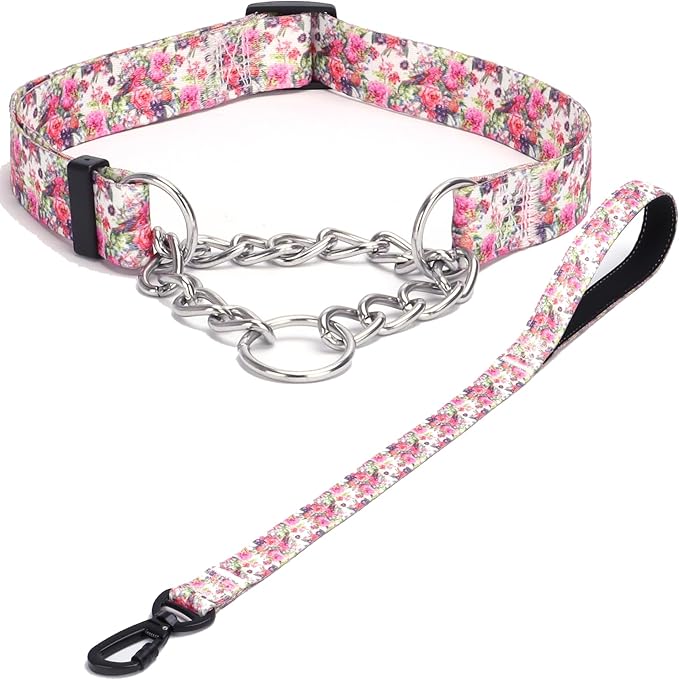 Martingale Dog Collar with Stainless Steel Chain - Limited Chain Cinch Training Collar for No Pull Training Dog - Flower Multicolor Cute Patterns - Premium No Slip Collar (XL, Peony Set)
