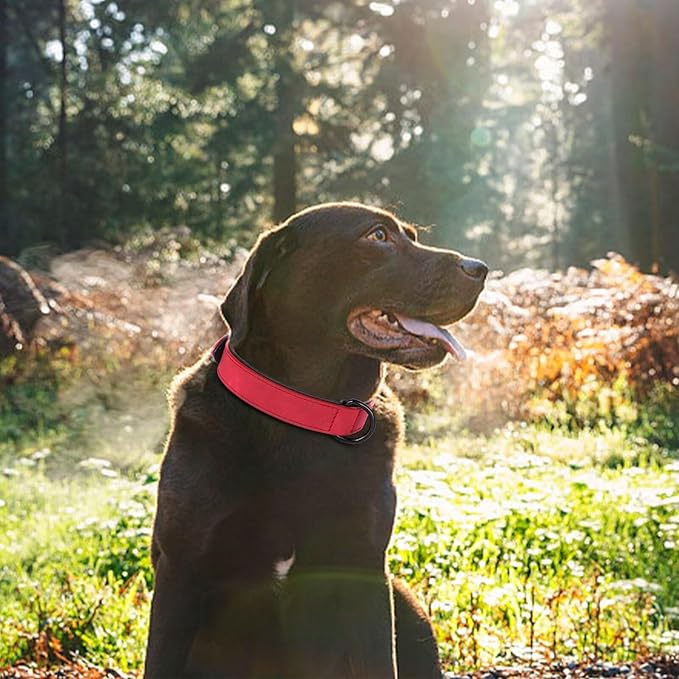 Didog Soft Padded PU Leather Dog Collar, Breathable and Adjustable Red Dog Collar for Large Dogs, Comfortable for Daily Walk,Red XL Fit Neck 18-22"(45-71 lbs)