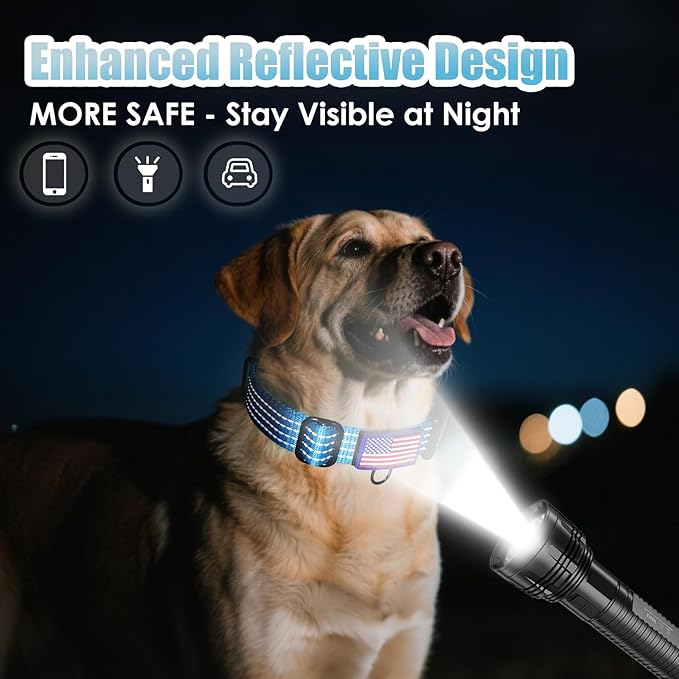 Martingale Collar for Dogs, Reflective Heavy Duty with Quick Release Nylon Buckle-USA Flag-No Pull Training Choker for Walking, Training, Sky Blue,M