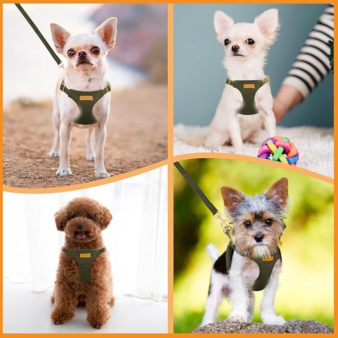SlowTon Dog Harness Small Sized Dog - Soft XXS Dog Harness and Leash Set No Pull No Chock, Adjustable Lightweight Puppy Harness for XS Small Medium Dogs Cats (Solid Military Green, XS)
