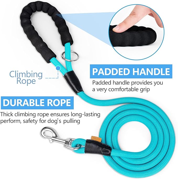 Dog Leash, Braided Rope Traction – Walking Training Lead for Medium/Large Dogs ((1/2") x 6FT, Light Blue)