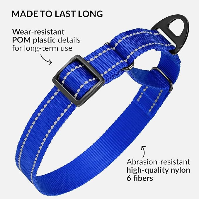 Collardirect Reflective Martingale Dog Collar Nylon Training Collars for Small Medium Large Dogs Puppy Pink Orange Green (L, Neck Size 16"-24", Blue)