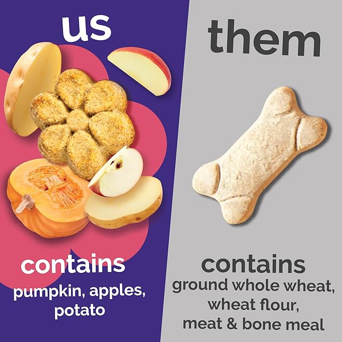 Fruitables Baked Crunchy Pumpkin Dog Treats, 7oz, Variety Pack of 10