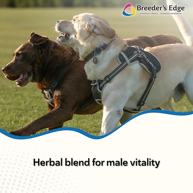 Breeder’s Edge Get Him Going, Reproductive Performance Supplement for Male Dogs and Cats, Supports Libido, Energy, Hormone Balance and Fertility, Horny Goat Weed, Maca, Ashwagandha, Made in USA, 30 ml
