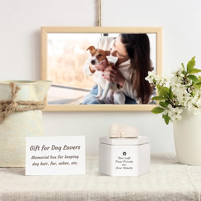 Dog Memorial Keepsake Box, Dog Urns for Ashes, Dog Memorial Gifts for Loss of Dog Sympathy Gift, Hair Container Remembrance Pet Loss Sympathy Gifts, Rainbow Bridge(Ceramic)