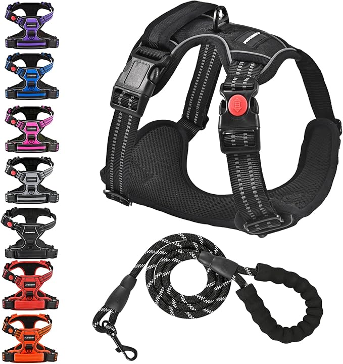 No Pull Dog Harness with Free Heavy Duty 5ft Leash, Adjustable Soft Padded Dog Vest, Reflective No-Choke Oxford Vest with Easy Control Handle (Black, X-Large)