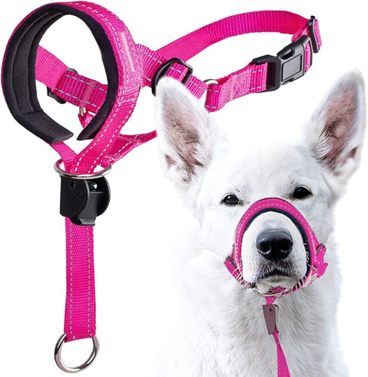 GoodBoy Dog Head Halter with Safety Strap - Stops Heavy Pulling On The Leash - Padded Headcollar for Small Medium and Large Dog Sizes - Head Collar Training Guide Included (Size 3, Pink Nylon)