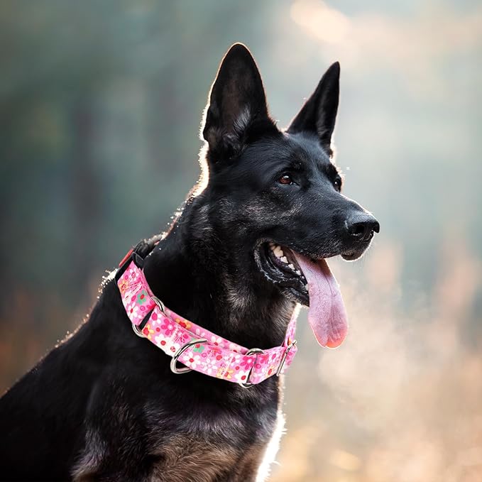 Pink Martingale Collar for Medium Dogs with Safety Buckle, Adjustable Girl Dog Collars with Flowers Design, Heavy Duty No Slip Collar Great for Whippets, Greyhounds and More (M)