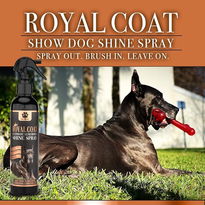 King Kanine Royal Coat Dog Spray Deodorizer and Conditioner - Leave in Grooming Shine Spray for Long and Short Hair Coats - Moisturizing Orange and Rosemary Scented Pet Deodorizer - 8 FL OZ