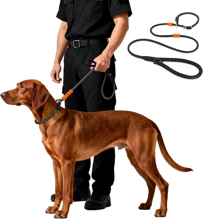 BeauGo| Slip Lead Dog Leash| Dog Training Leash,No Pull Dog Training Lead & Colla,Sturdy and Durable,Comfortable Strong Rope Slip Leads for Large Medium Dogs.Slip Leads for Dogs 6 FT