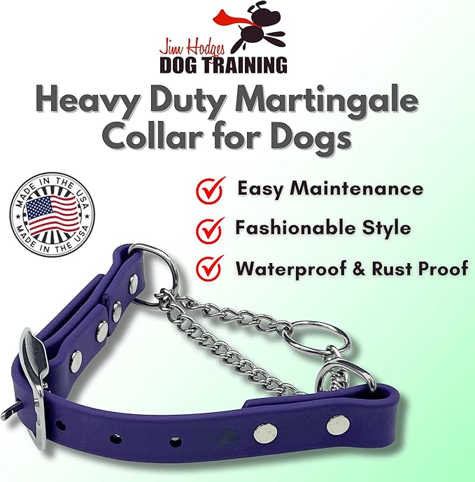 Martingale Collar for Dogs, Biothane, Stainless Steel Hardware, No Pull, Made in The USA, Professional Grade, XXS, Purple