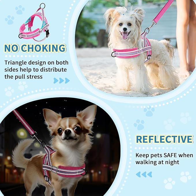Lukovee No Pull Dog Harness and Leash Set, Soft Padded Small Dog Harness, Neck & Chest Adjustable Reflective Vest Puppy Harness with 4ft Lightweight Anti-Twist Dog Leash for Small Dogs (M, Fuschia)