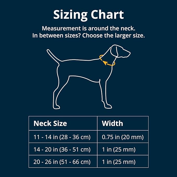 Ruffwear, Front Range Dog Collar, Adjustable Tubelok Webbing, Lightweight, Side Release Buckle, Aluminum V-Ring, Durable for Everyday Use, Spring Fade, 11"-14"