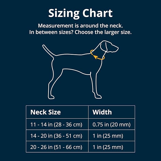 Ruffwear, Front Range Dog Collar, Adjustable Tubelok Webbing, Lightweight, Side Release Buckle, Aluminum V-Ring, Durable for Everyday Use, Reef Fish, 14"-20"