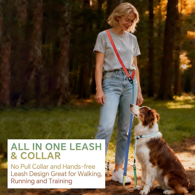 QQPETS Adjustable Slip Lead Dog Leash, Hands Free Waist Leash for Dog Walking, Reflective Training Lead with 360° Swivel Anti-Tangle, 4-7 ft Length for All Breeds