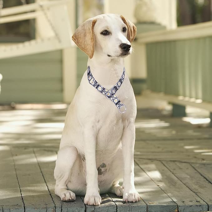 Training Dog Collar - No Pull Martingale, Slip With Slidable Stop Ring for Small, Medium, Large Dogs (M, Daisy)
