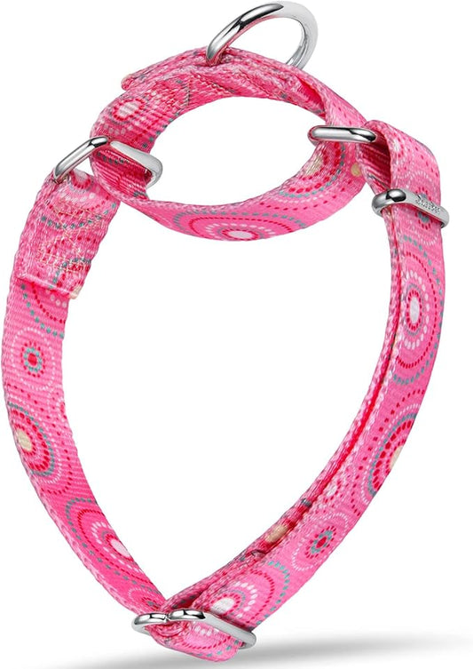 Martingale Collar Dog Collar No Pull Pet Collar Heavy Duty Dog Martingale Collars Silky Soft with Unique Pattern for Medium and Large Dogs (Firework Dots Pink,L)