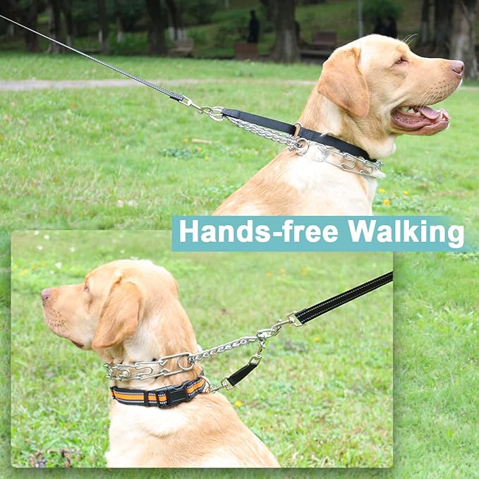 Mayerzon Backup Collar, Double Ended Clip and Carabiner for Prong Collar, Pinch Collar and Dog Harness, Safety Use for Walking and Training (XL, Black)