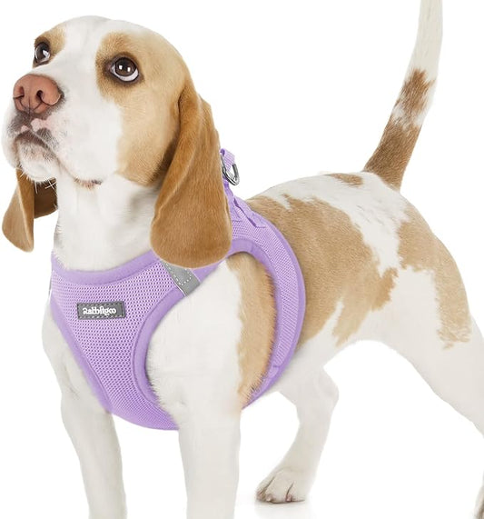 rabbitgoo Small Dog Harness, Step-in Soft Mesh Puppy Vest with Safety Buckle, Breathable Reflective Pet Harness for Small Sized Dogs, Light Purple M