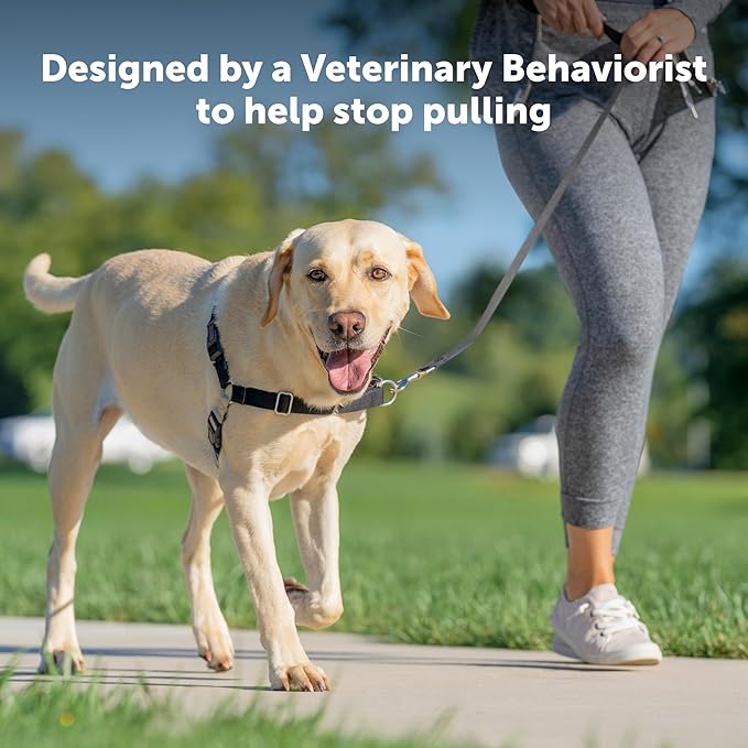 PetSafe Easy Walk Harness for Dogs - Pull-Free Walks - Patented Martingale Loop Design - Front Chest Leash Attachment - Comfort Straps - Breathable Harness Design - Medium/Large, Black/Silver