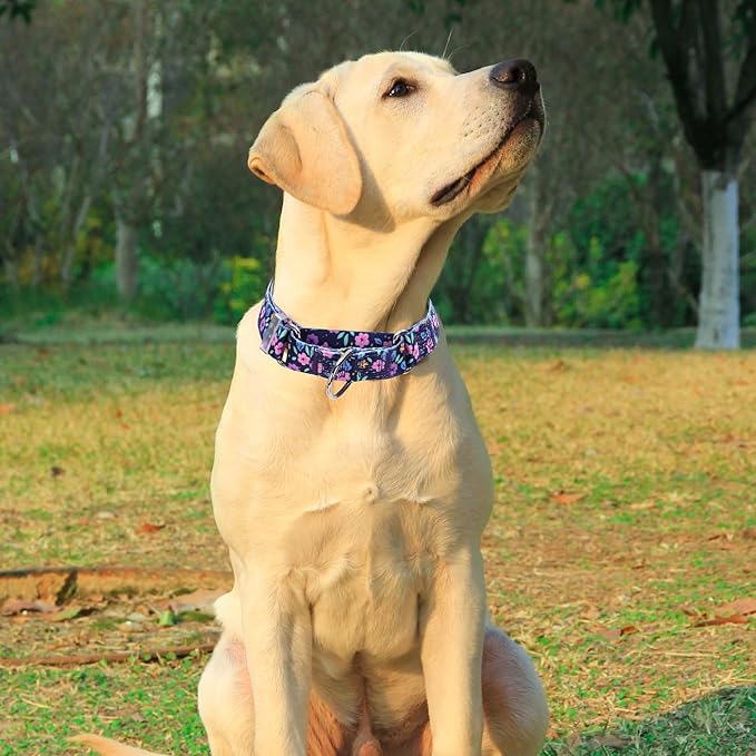 Martingale Dog Collar for Small Medium Large Breed Pet Dogs-No-Slip Escape Proof Choke No Pull Cinch Soft Webbing Dog Collar for Male and Female Purple Flowers L
