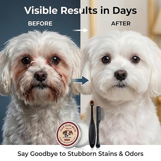 4-in-1 Tear Stain Remover Kit for Dogs & Cats - 1oz Natural Eye Balm with Pro Application Brush & 2 Stainless Steel Combs - Professional Eye Gunk (3in1)