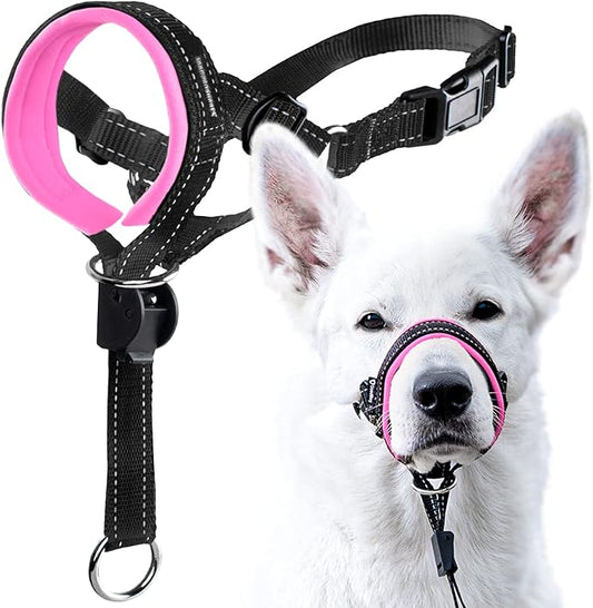 GoodBoy Dog Head Halter with Safety Strap - Stops Heavy Pulling On The Leash - Padded Headcollar for Small Medium and Large Dog Sizes - Head Collar Training Guide Included (Size 2, Pink)