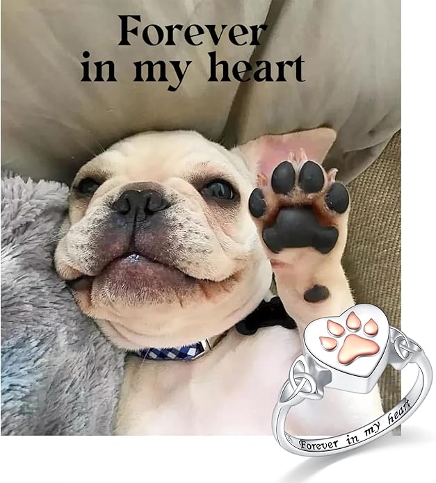 S925 Sterling Silver Heart Dog Cat Pet Urn Paw Ring for Ashes Keepsake Memorial Jewelry Cremation Print Bands Women Gift