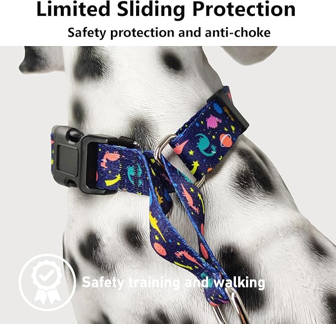 Martingale Collar for Dogs with Buckle No Pull Adjustable Nylon Limited Slip Training Dog Collars (Blue Dinosaur, Large)