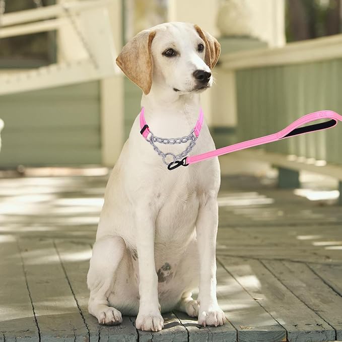 Martingale Dog Collar with Stainless Steel Chain and Leash Set, Martingale Collar with Reflective, 5FT Double Handle Dog Leash Padded, Adjustable for Medium Large Dogs (S, Pink)