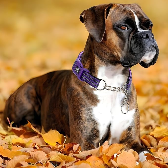 MAOWUWUJOA Martingale Collar for Dogs Reflective Nylon Dog Collar with Quick Release Buckle Adjustable Training No Slip Dog Collars (Ladge, Purple)