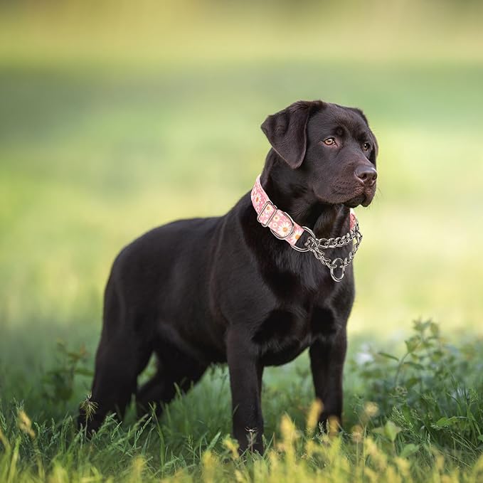 Stainless Steel Chain Martingale Collar for Dogs, No Pull Slip Cinch Choker Choke Collar Training Escape Proof Heavy Duty Dog Collar for Small Medium Large Pet Girl Female Dogs, Pink Daisy M