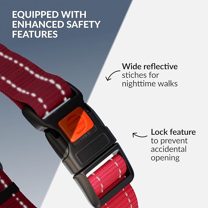 CollarDirect Martingale Dog Collar with Stainless Steel Chain and Quick Release Buckle - Reflective Collar for Large, Medium, Small Dogs - Pink, Large (Neck Size 17"-22")