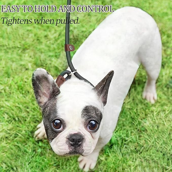 MayPaw Slip Lead Control Leash for Dogs No Pull, 13+ Colors Classic Dog Lead 7FT Pet Slip Leash, 1/4” Rope Leashes for Small Medium Animals (7ft*1/4", Pink)