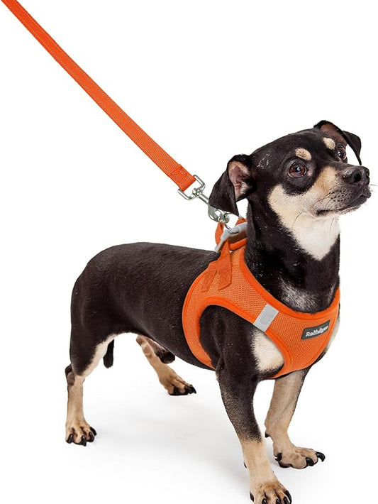 rabbitgoo Dog Harness Small Sized and Leash Set, Step in Soft Light Puppy Vest, Breathable Mesh Pet Harness, Reflective for Safe Easy Walking, Orange XXXS