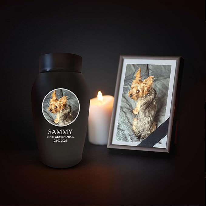 Personalized Custom Photo Dog Urn Engraved Dog Name and Date Stainless Steel Cremation Urns for Dogs Ashes with Pet Photo | Pets Up to 15 Lbs | Small 5.2" x 3" | Black