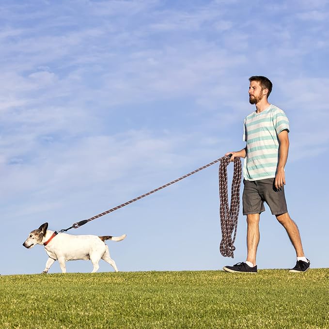 Long Dog Leash for Training 20Ft-Reflective Nylon Rope with Swivel Hook-Recall Agility Lead for Large Small Medium Dogs Outside Walking Hiking-Brown