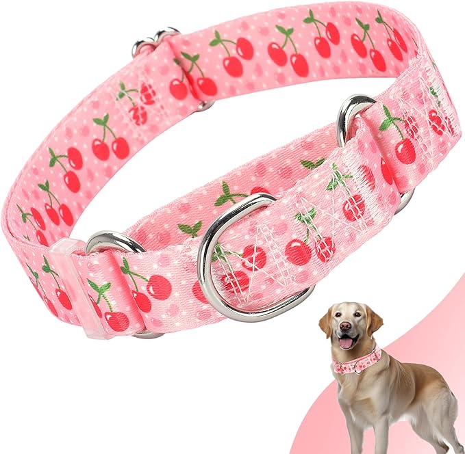 Martingale Dog Collar for Small Medium Large Pet Dogs- Pink Cherry No-Slip Escape Proof Choke No Pull Fruit Dog Collar for Male and Female Dogs Training & Walking S
