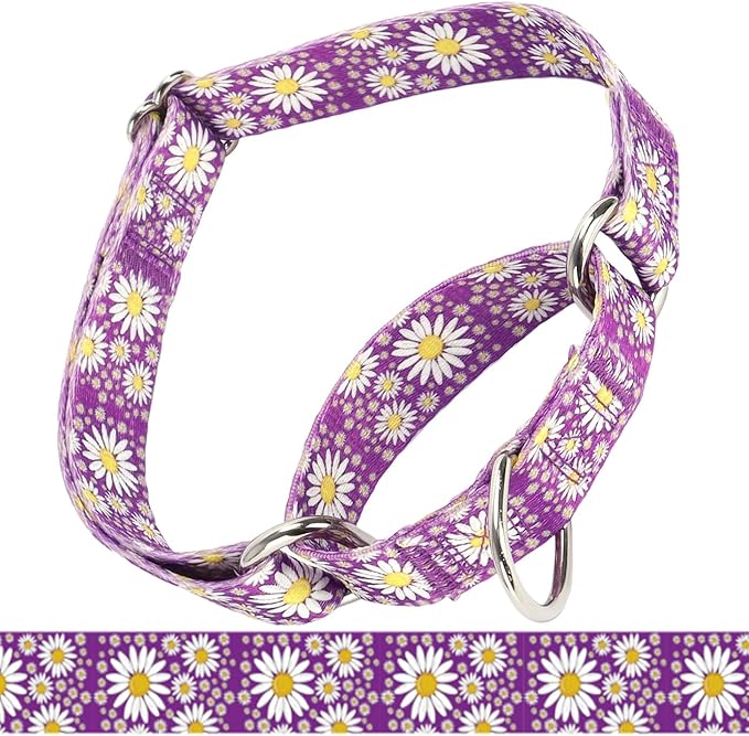 Martingale Collar for Medium Dogs, Girl Dog Collar with Daisy Flowers, Heavy Duty No Pull Dog Collar Floral Design Dog Training Collar, Perfect for Training, Walking, Hunting (Purple, L)