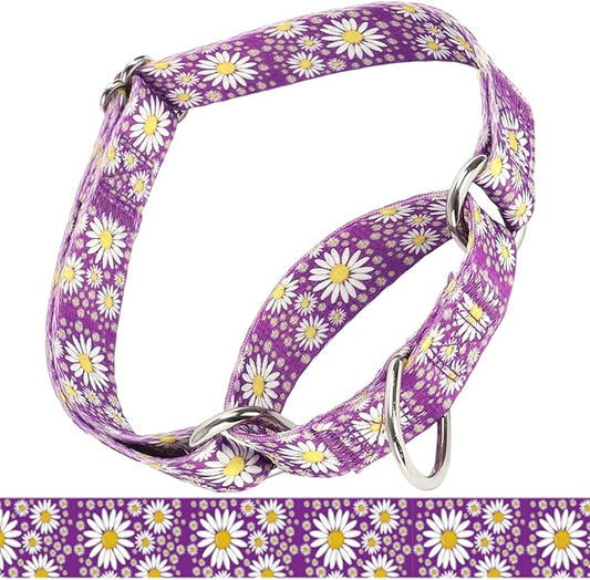 Martingale Collar for Medium Dogs, Girl Dog Collar with Daisy Flowers, Heavy Duty No Pull Dog Collar Floral Design Dog Training Collar, Perfect for Training, Walking, Hunting (Purple, M)