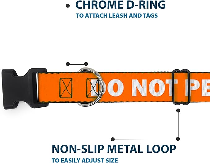 Buckle-Down Dog Collar Plastic Clip Pet Quote Do Not Pet Orange White 6 to 9 Inches 0.5 Inch Wide