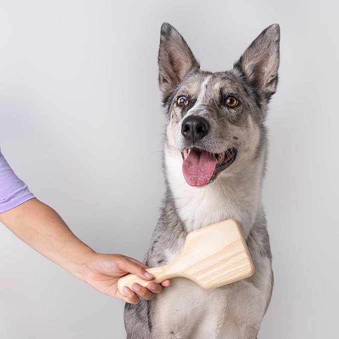 WIDU - Brush for Dogs and Cats, Ideal for Medium and Large Pets with Short Hair, Professional Carder in Ash Wood, Handmade in Italy - 21.5 x 9.4 cm, with 14 mm Long Teeth and 60° Inclination