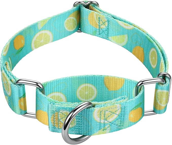 Mikivery Martingale Collar 1 inch Slip On and Off,NO Buckle Gently Tightens Medium and Large Collars