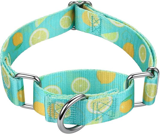Mikivery Martingale Collar 1 inch Slip On and Off,NO Buckle Gently Tightens Medium and Large Collars