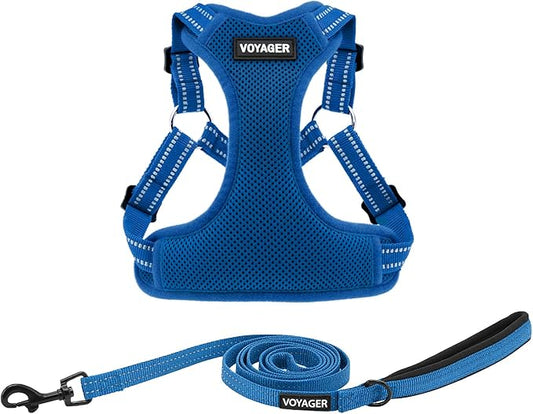 Best Pet Supplies Voyager Adjustable Step-in Flex Breathable Mesh Dog Harness for Small Medium Large Dogs Leash Set (Royal Blue), M