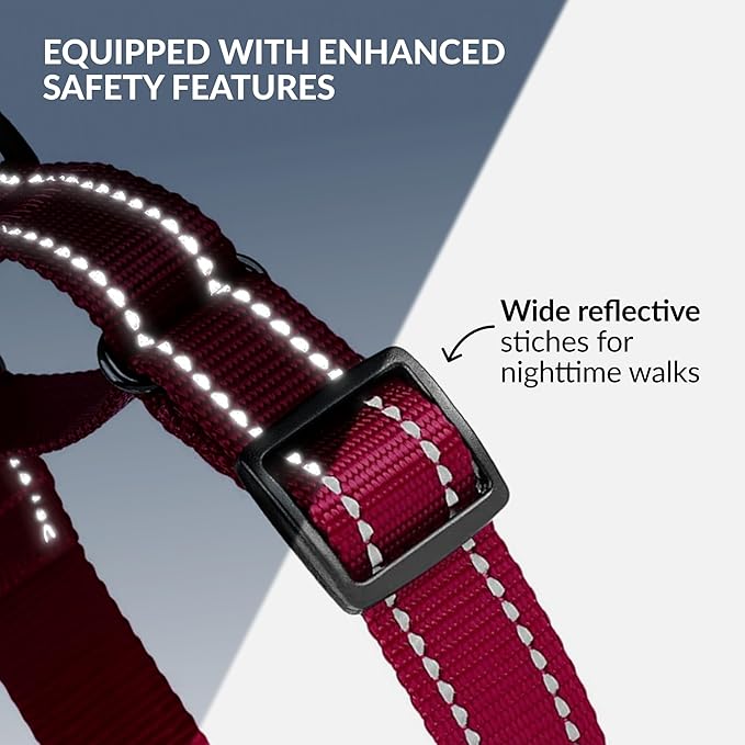 CollarDirect Reflective Martingale Dog Collar Nylon Heavy Duty Training Pet Collars for Small Medium Large Dogs Puppy Black Blue Mint Green Red Pink Purple Dark Red (S, Neck Size 11"-15", Dark Red)