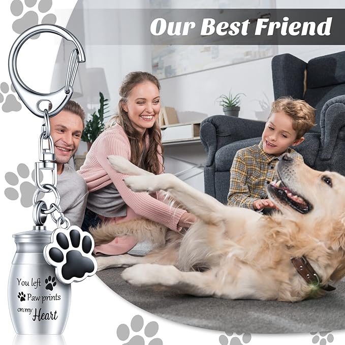 Tudomro 2 Pcs Pet Dog Urns Keychain for Ashes with 2 Storage Bags Small Cat Cremation Keepsake Jewelry Paw Print Memorial Urn