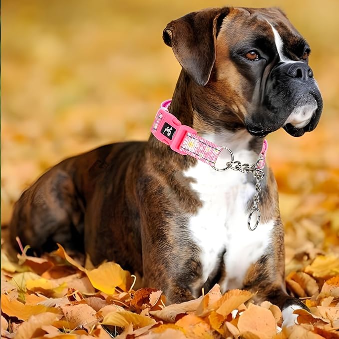 Martingale Dog Collar Trainer Approved Limited Slip Collar with Stainless Steel Chain & Heavy Duty Buckle - Modified Cinch Collar for Gentle & Effective Pet Training - Medium