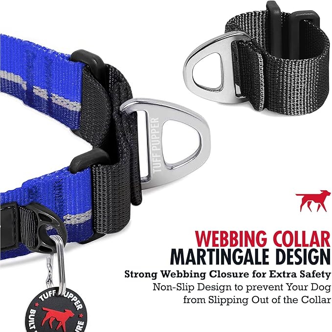 Tuff Pupper Martingale Collar for Dogs | Gentle Nylon Limited Cinch is Perfect for Training | Durable Locking Buckle | Reflective for Safer Night Walking | Sizing for All Breeds (Blue, Large)