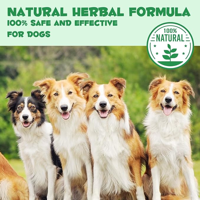 Specifically Formulated for Dogs, Dogs Broad Spectrum Supports, Naturally Sourced Ingredients, Gut Health, Easy-to-Absorb, Probiotics Supplement Drops for All Ages and Breeds